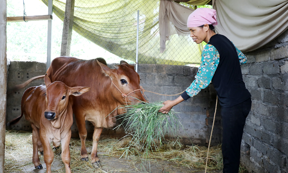 Thị xã Việt Yên: Giải quyết việc làm, hỗ trợ người nghèo tăng thu nhập